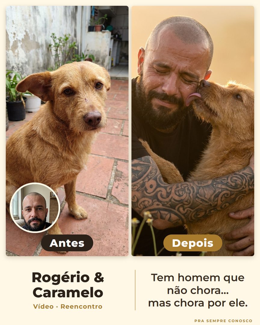 Antes e depois: Rogério e o vira-lata Caramelo, reencontro